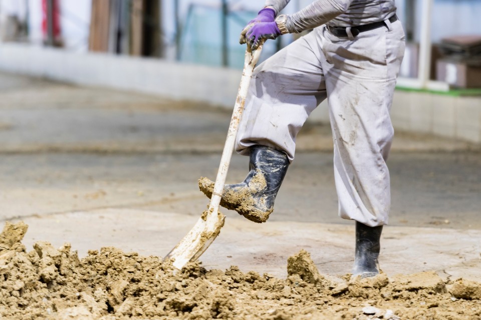 AdobeStock_304274205-960x640